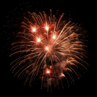 绚丽烟花绽夜空