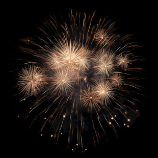 夜空中绚烂的金色烟花