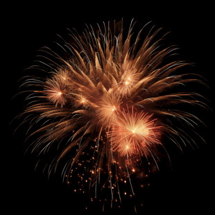 绚丽烟花绽放夜空