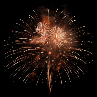 夜空中绚烂的金色烟花