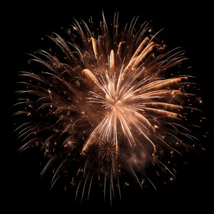 绚丽烟花绽放夜空