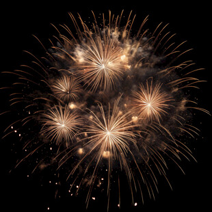 璀璨烟花绽放夜空