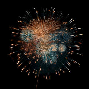 绚丽烟花绽放夜空