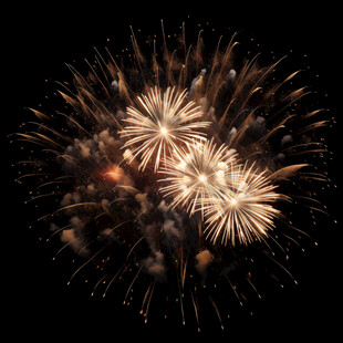 夜空中绚烂的金色烟花