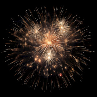 璀璨烟花绽放夜空