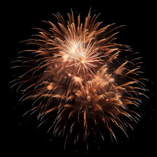 绚丽烟花绽放夜空