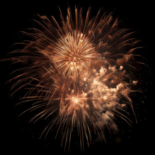 夜空中绚烂的金色烟花