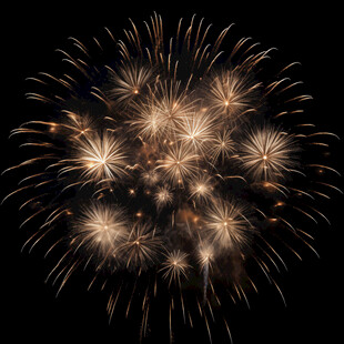 夜空中绚烂的金色烟花