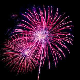 绚丽烟花绽放夜空