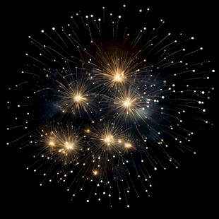 夜空中绚丽的烟花绽放