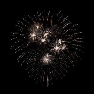 夜空中绚丽绽放的烟花