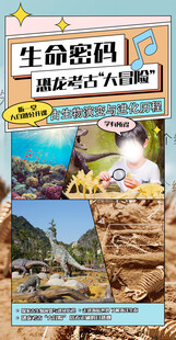 生命密码探索 开启考古奇妙之旅