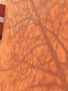 墙上树影斑驳的独特景象