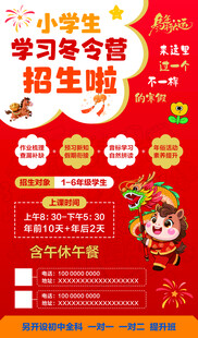 冬令营招生宣传海报