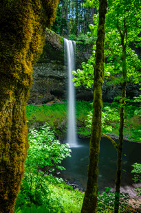 森林中的美丽瀑布景观