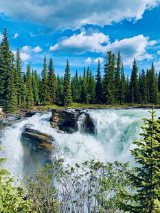 壮丽森林瀑布景观