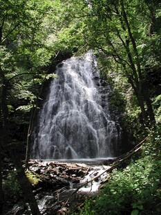 森林中的美丽瀑布景观