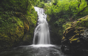 森林中的美丽瀑布景观