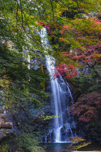 秋日山林中的秀丽瀑布