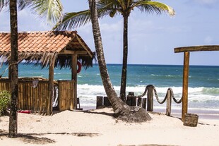 热带海滨小屋的悠闲景致