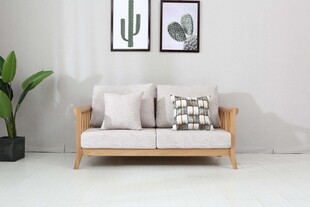 简约风沙发搭配绿植挂画