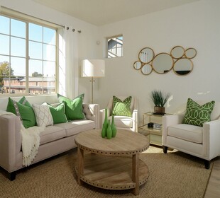 清新绿调温馨客厅角落