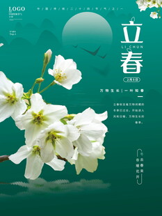 立春时节白花绽放图景