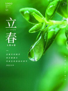 立春时节嫩绿枝叶带露珠