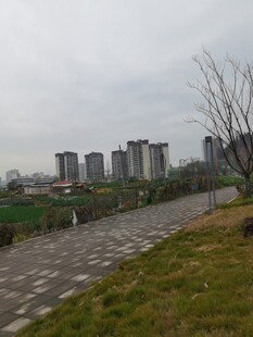 城市旁的蜿蜒小路与建筑