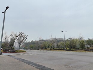 空旷户外道路场景