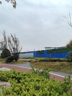 户外绿植环绕的道路场景
