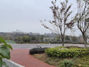 城市公园的静谧道路景观