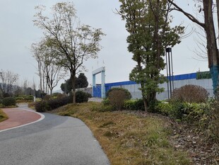 园区道路旁的绿植景观