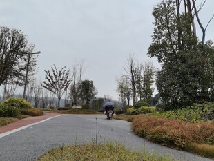 郊外骑行路景