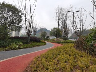 城市中的彩色步道景观