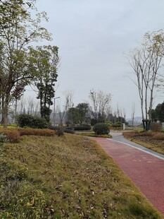 雨后公园的红色步道景色