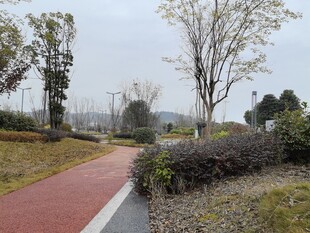 公园中的红色步道与绿植