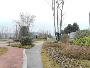 城市公园蜿蜒小径景观