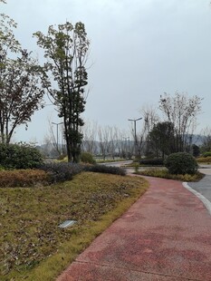 公园中的红色步道景观