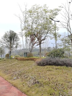 户外公园的自然景致