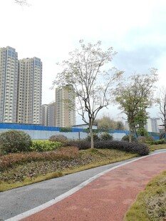 城市中的宁静健身步道