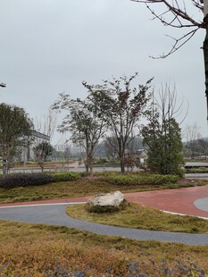 城市公园中的宁静步道