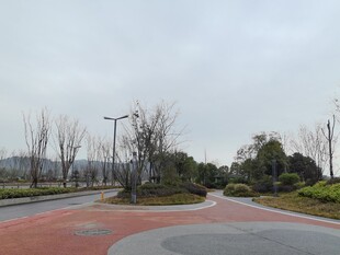 城市道路旁的开阔景观