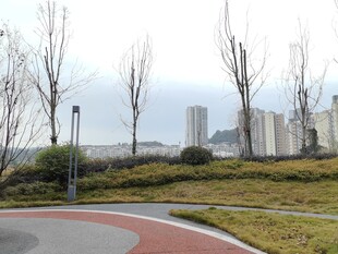 城市道路旁的绿化景观