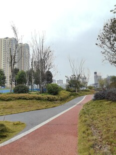 城市中的彩色休闲步道