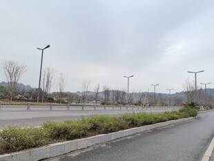 空旷道路旁的绿化带景观
