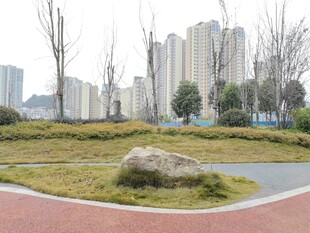 城市公园中的休闲步道景观