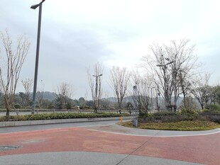 城市公园中的开阔道路景观