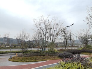 城市公园景观道路场景