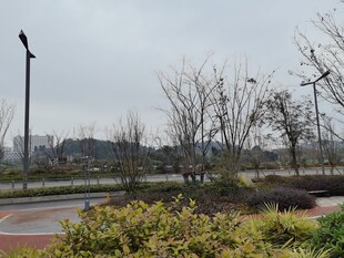 城市公园冬日景观